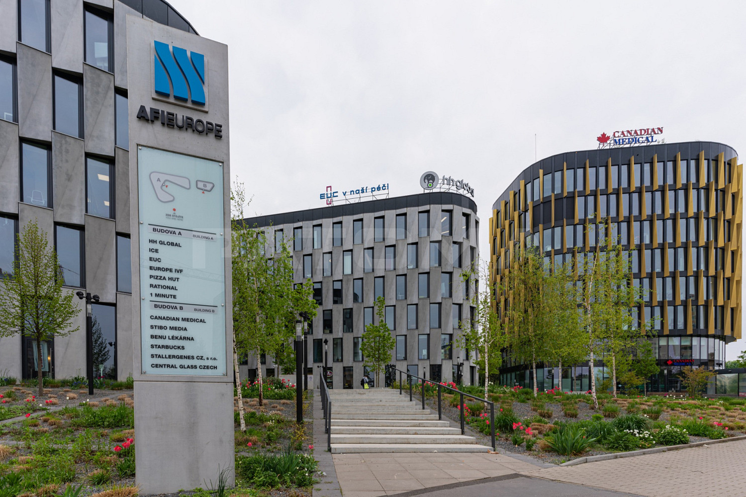 Pronájem kanceláře 447 m²