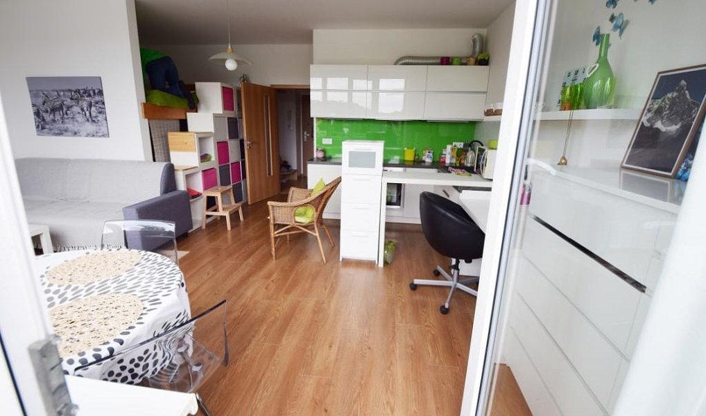 Pronájem bytu 1+kk 40 m², Beroun – náhled fotky 13