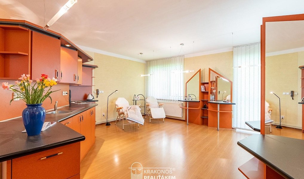 Pronájem komerčního objektu (jiného typu) 96 m², Hranice – náhled fotky 4
