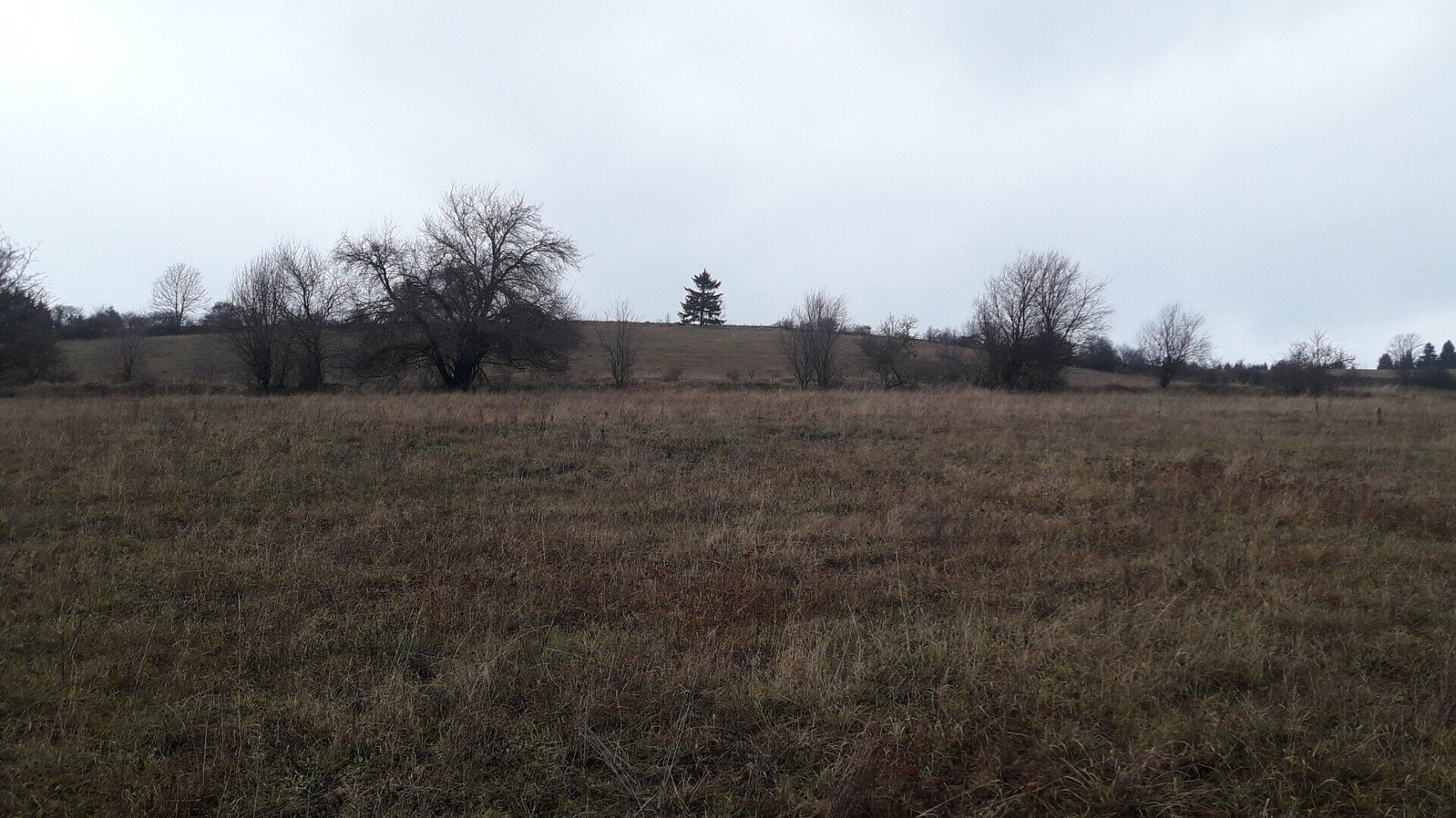 Prodej pole 25 028 m²