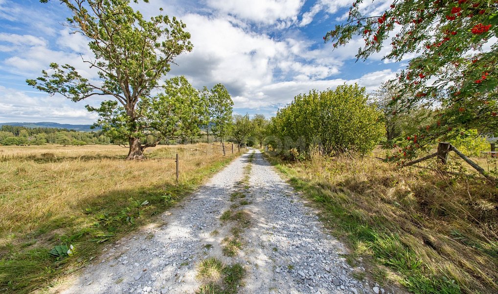 Prodej stavebního pozemku 2 451 m², Nová Pec – náhled fotky 5