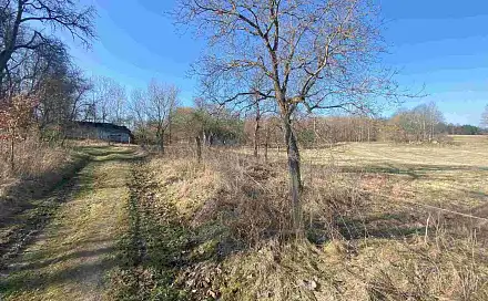 Prodej stavebního pozemku 11 107 m², Dolní Dvořiště - Všeměřice, okres Český Krumlov