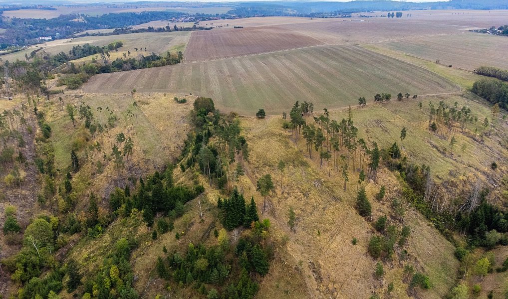 Prodej lesa 15 246 m², Vladislav – náhled fotky 17