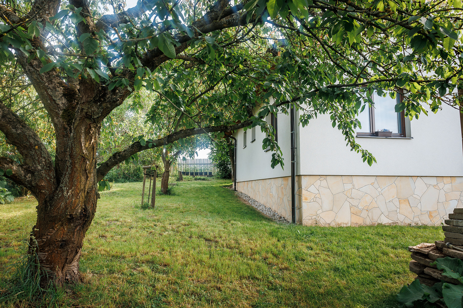 Prodej domu 117 m² s pozemkem 774 m² — photo 3