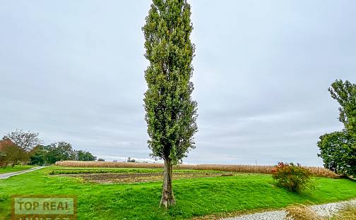 Prodej stavebního pozemku 861 m², Přerov - Přerov V-Dluhonice
