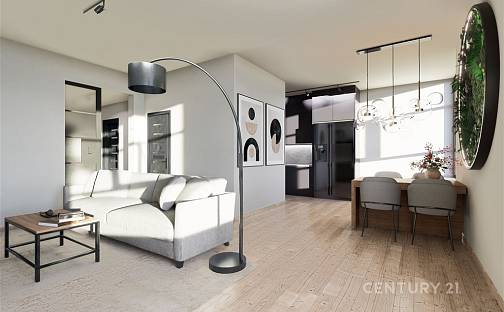 Prodej bytu 3+kk 101 m², Křenová, Brno - Trnitá