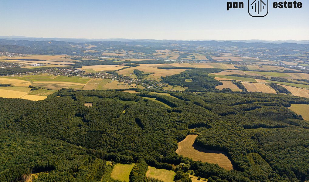 Prodej pole 38 057 m², Hvozdná – náhled fotky 3