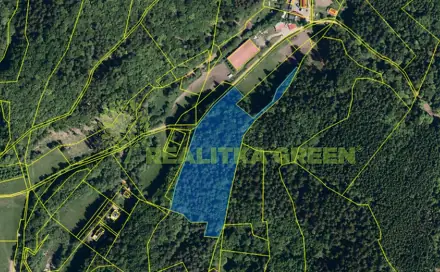 Prodej lesa 17 966 m², Všemina, okres Zlín