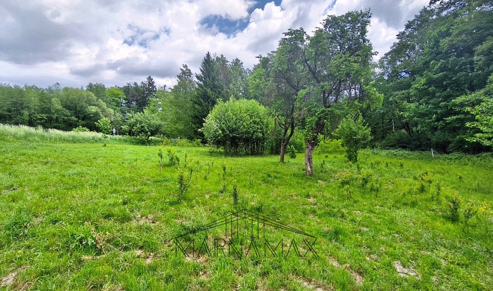 Prodej stavebního pozemku 2 377 m², Pohled – náhled fotky 4