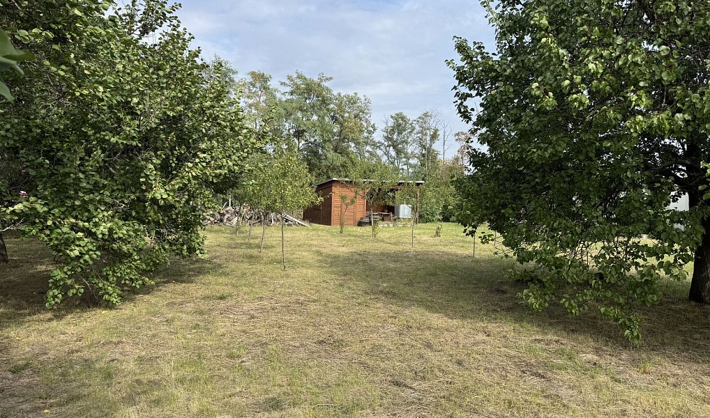 Prodej zahrady 1 171 m², Valtice – náhled fotky 9