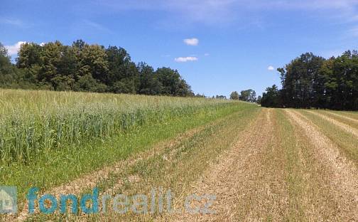 Prodej pole 18 412 m², Dříteň, okres České Budějovice