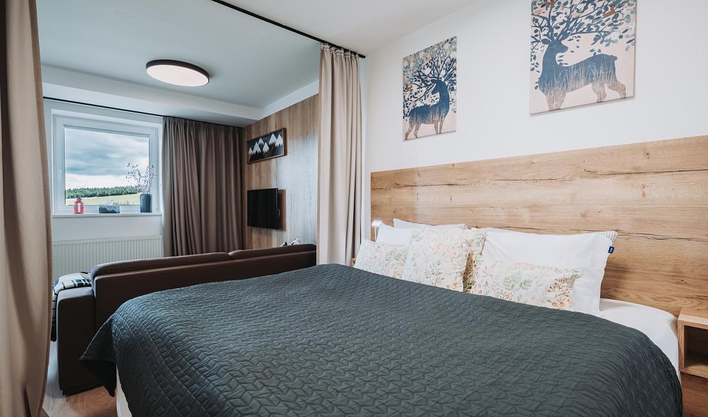 Prodej bytu 1+kk 37 m², Loučná pod Klínovcem – náhled fotky 9