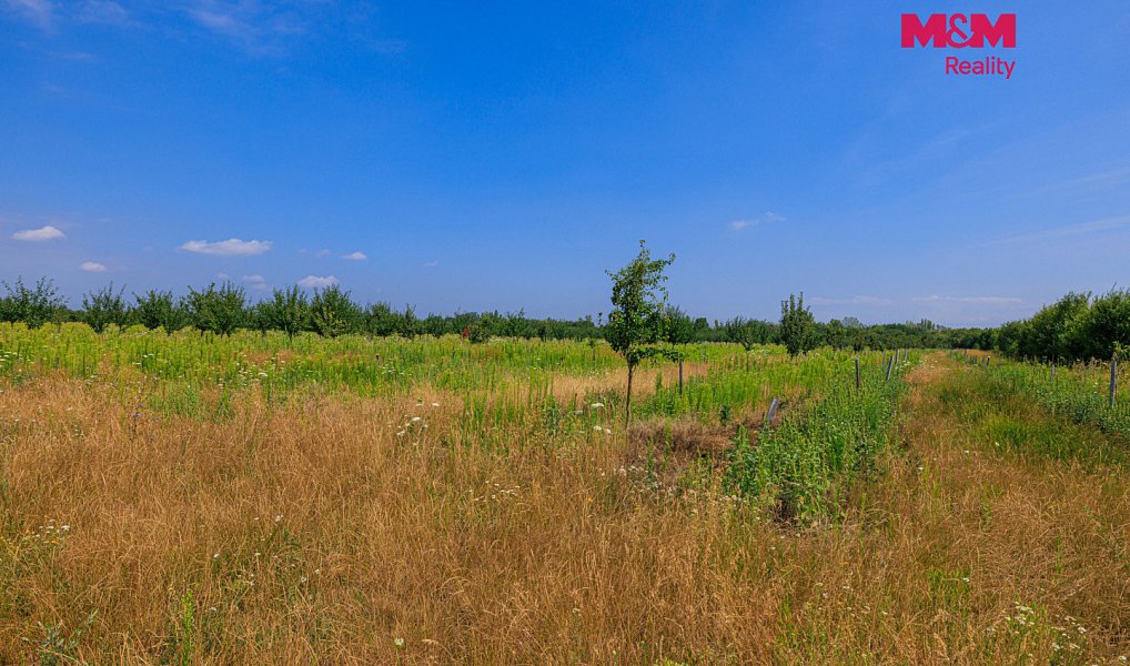 Prodej pole 12 442 m², Rakvice – náhled fotky 13