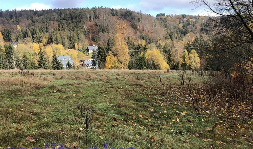 Prodej louky 24 555 m², Bedřichov – náhled fotky 2