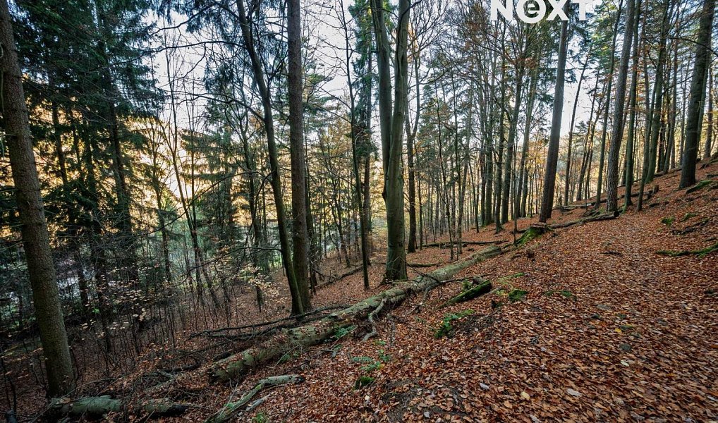 Prodej stavebního pozemku 3 487 m², Malá Skála – náhled fotky 8