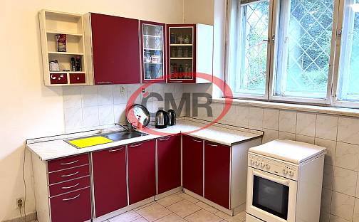 Prodej bytu 1+kk 29 m², Družstevní ochoz, Praha 4 - Nusle