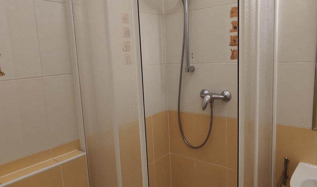Prodej bytu 1+kk 30 m², Praha – náhled fotky 6