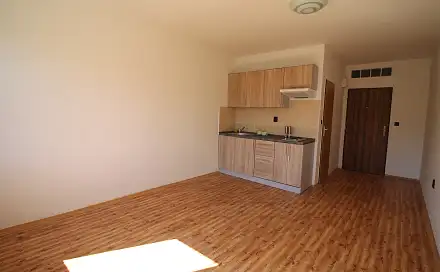 Pronájem bytu 1+kk 23 m², Plzeňská, Ostrava - Zábřeh