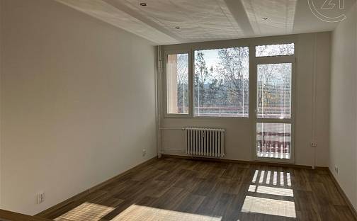 Pronájem bytu 1+kk 29 m², Ruská, Liberec - Liberec I-Staré Město