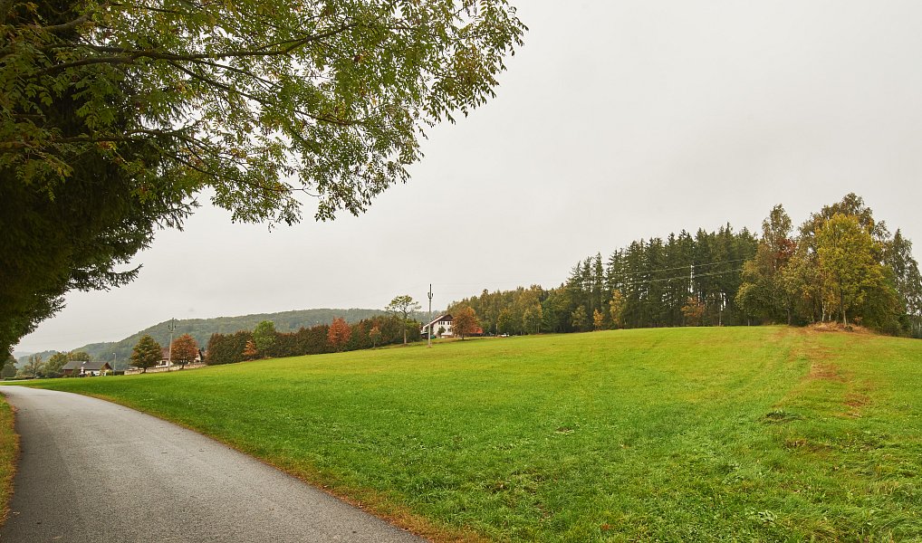 Prodej stavebního pozemku 15 555 m², Machov – náhled fotky 9