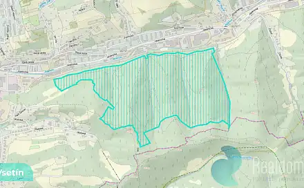Prodej lesa 12 054 m², Vsetín