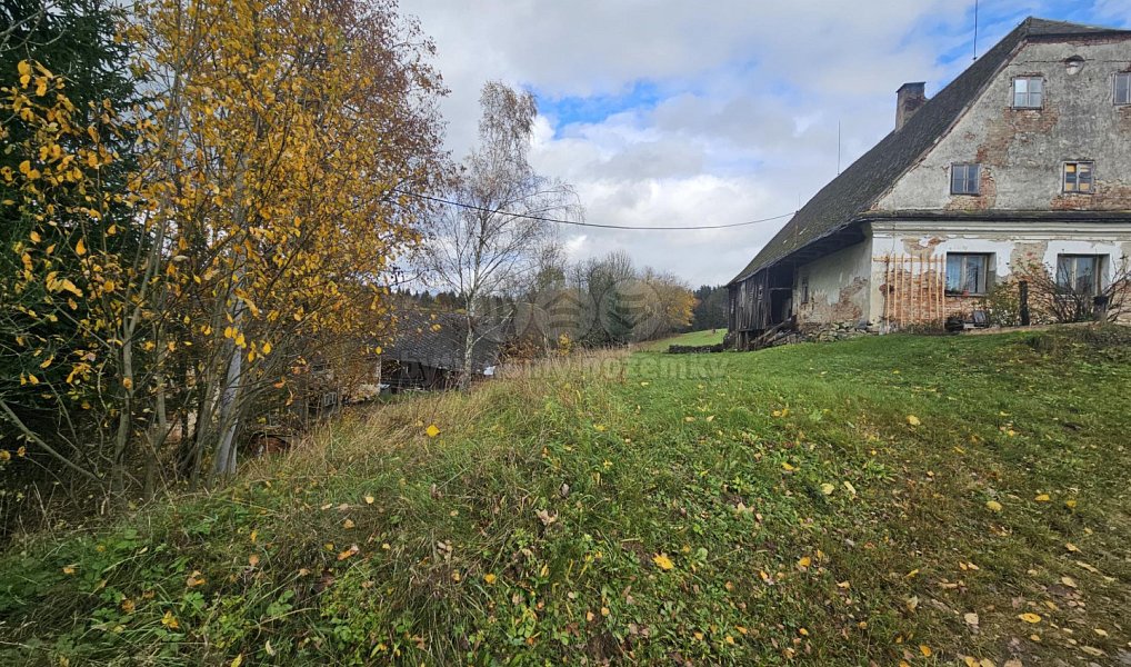 Prodej louky 1 636 m², Hanušovice – náhled fotky 2