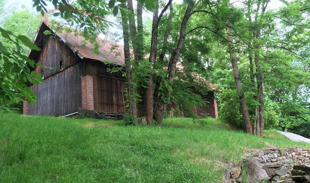 Prodej domu 180 m² s pozemkem 22 729 m², Benešov u Semil – náhled fotky 6