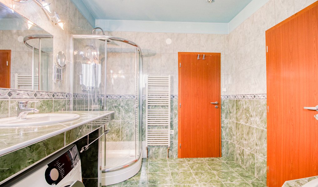 Prodej domu 252 m² s pozemkem 1 091 m², Nepřevázka – náhled fotky 13