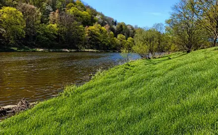 Prodej zahrady 5 059 m², Nižbor, okres Beroun