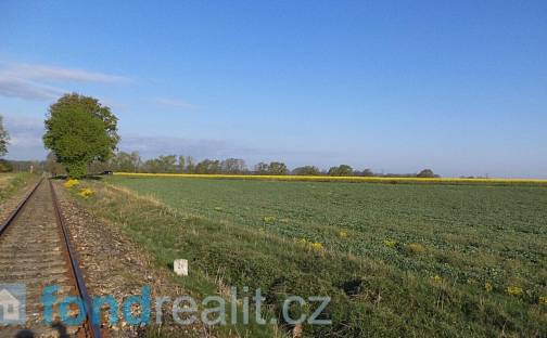 Prodej pole 949 m², Dříteň - Záblatí, okres České Budějovice