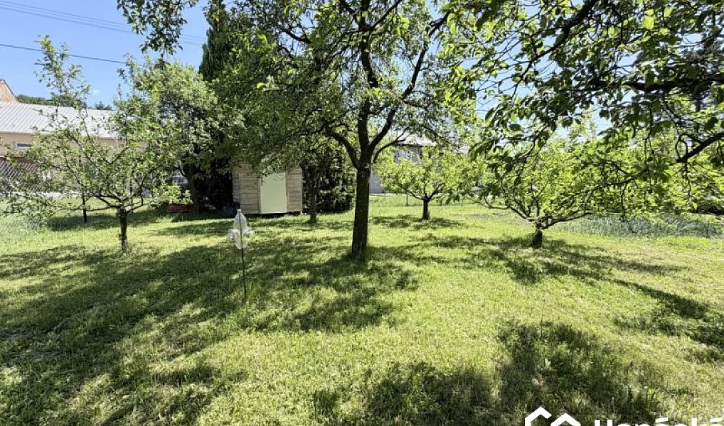 Prodej zahrady 808 m², Jankovice – náhled fotky 11
