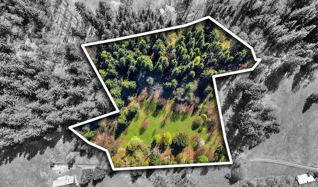 Prodej stavebního pozemku 21 708 m², Vítkovice – náhled fotky 3