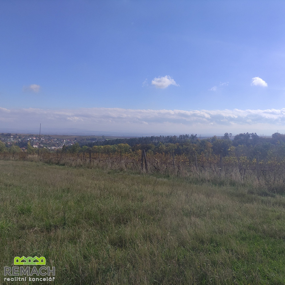 Prodej pole 4 846 m² – pohled 4