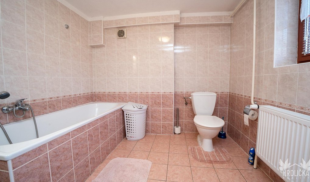 Prodej domu 203 m² s pozemkem 2 621 m², Nezdřev – náhled fotky 10