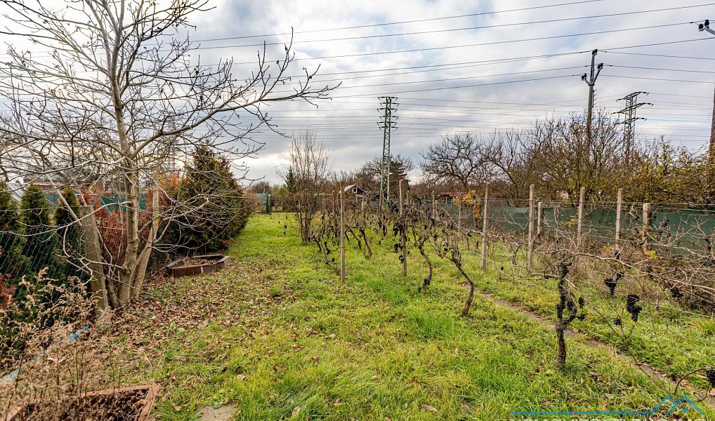Prodej zahrady 445 m², Suchohrdly – náhled fotky 7