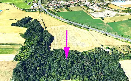 Prodej lesa 4 332 m², Držovice, okres Prostějov