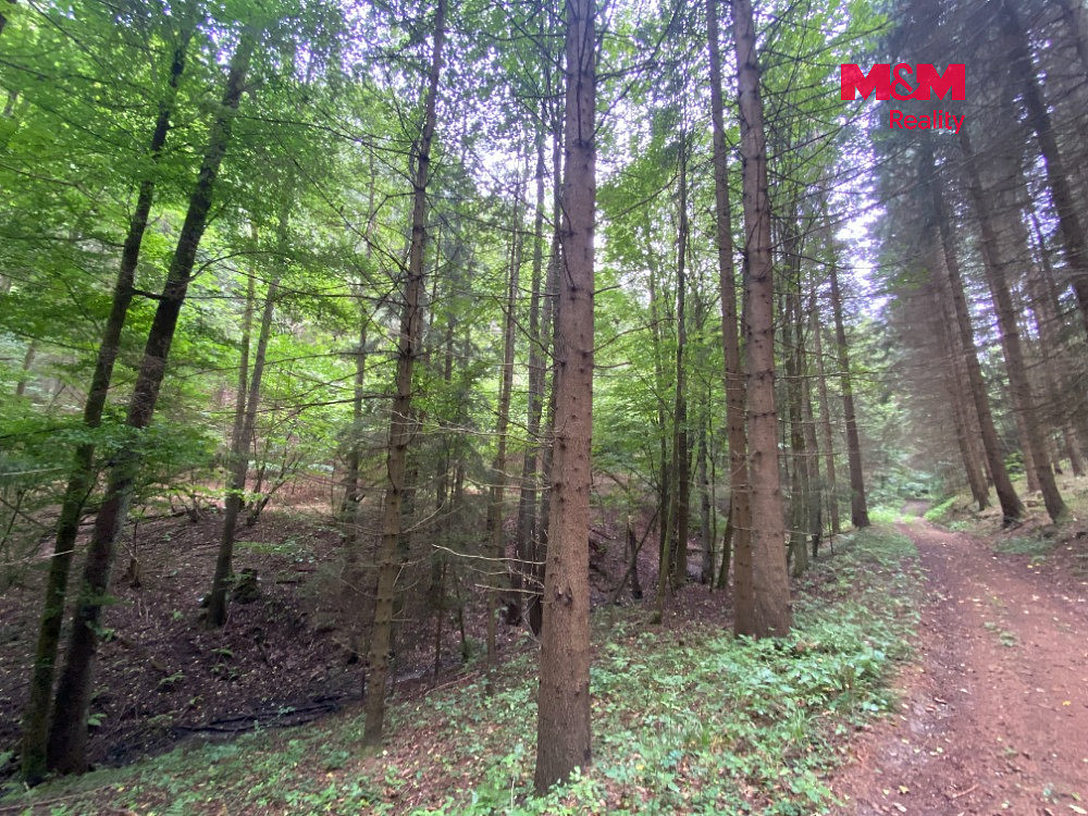 Prodej louky 2 261 m² – fotografie 3