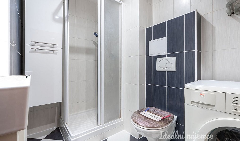 Pronájem bytu 1+1 43 m², Praha – náhled fotky 3