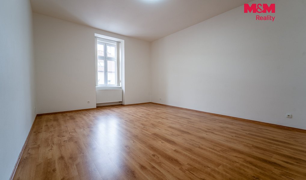 Pronájem bytu 1+1 65 m², Plzeň – náhled fotky 9