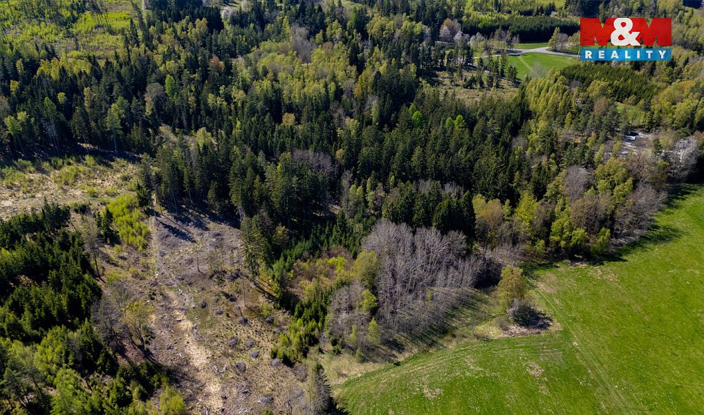 Prodej lesa 11 203 m², Železný Brod – náhled fotky 5