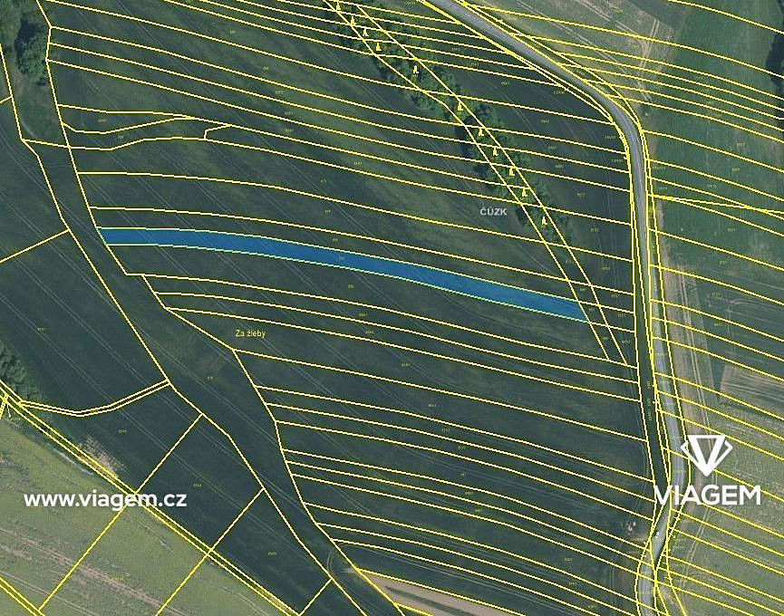 Prodej pole 1 682 m² – fotografie 3