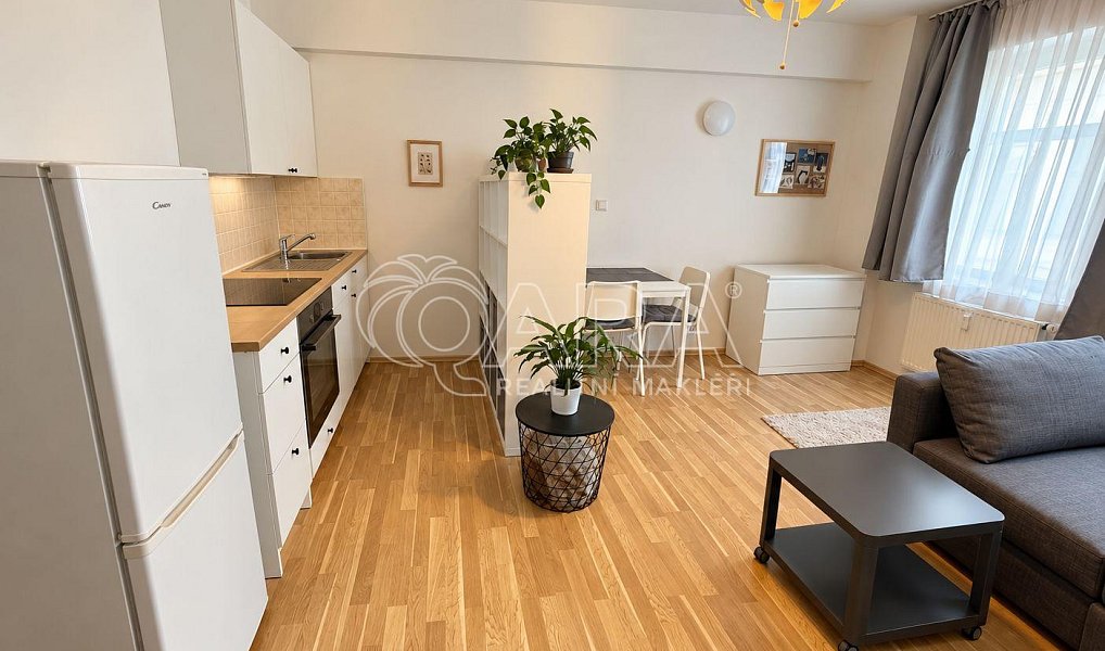Pronájem bytu 1+kk 28 m², Praha – náhled fotky 3