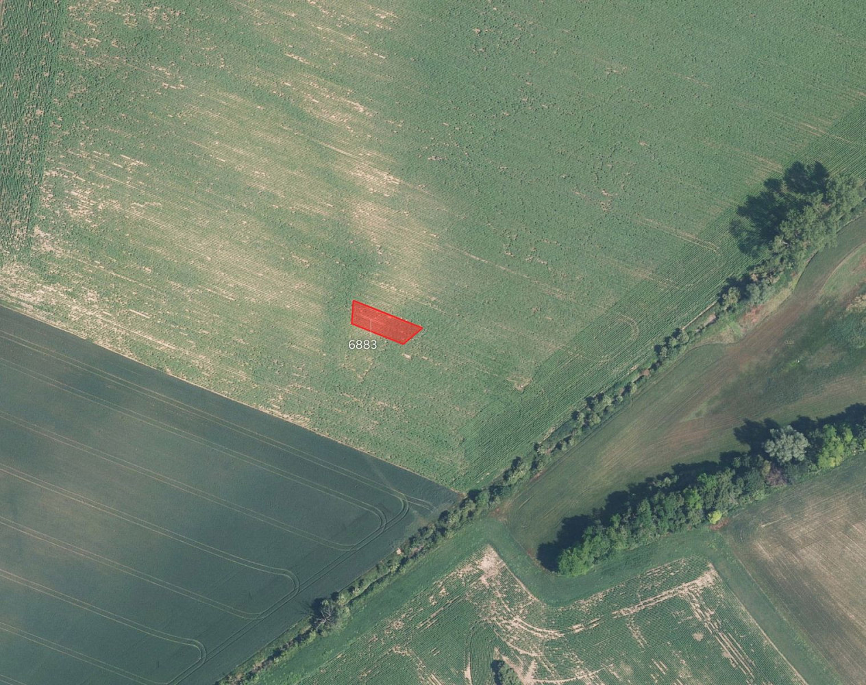 Prodej pole 19 471 m² — photo 2