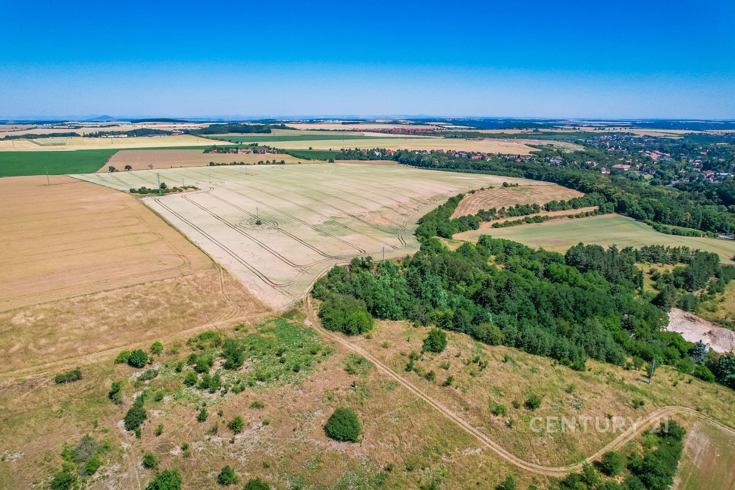 Prodej pole 1 495 m² – fotografie 5