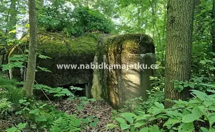 K. ú. dubnice pod ralskem st. p. č. 535 a stavby bez čp/če (řopík)