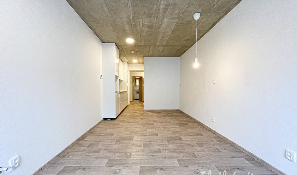 Pronájem bytu 1+kk 33 m², Brno – náhled fotky 6