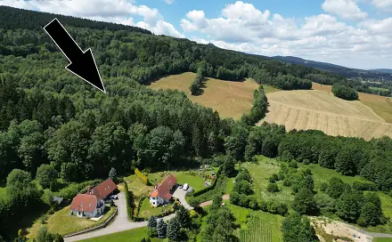 Prodej lesa 4 606 m², Šimonovice, okres Liberec