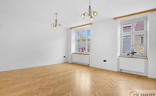 Prodej bytu 2+1 74 m², Mlýnská, Prostějov