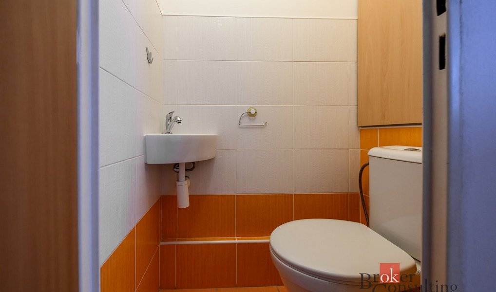 Pronájem bytu 2+1 60 m², Plzeň – náhled fotky 9
