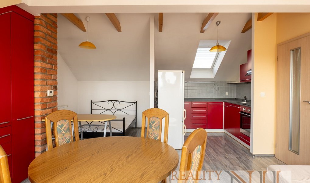 Prodej domu 225 m² s pozemkem 92 m², Plzeň – náhled fotky 18